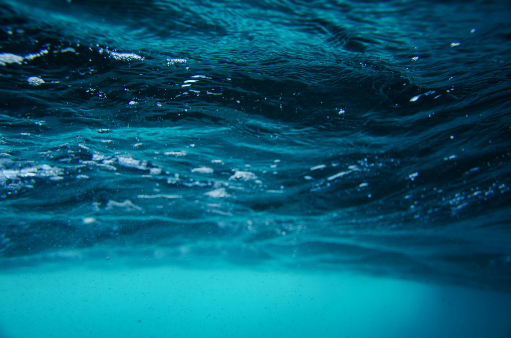 Water is Life: Why Conservation Matters for Our Skin and Our Planet